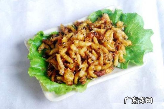 蜂蛹不能和什么东西一起吃