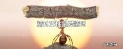 精神支柱是爱情吗