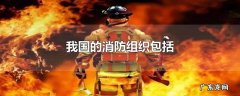 我国的消防组织包括