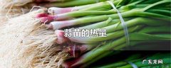 蒜苗的热量