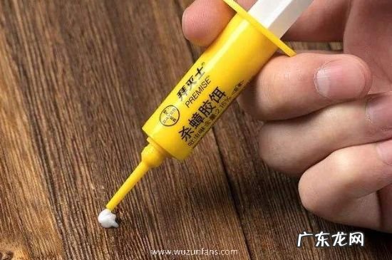 厨房好多小蟑螂怎么办