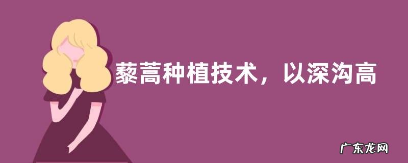 藜蒿种植技术,以深沟高畦栽培为主