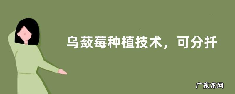 乌蔹莓种植技术，可分扦插繁殖与播种繁殖