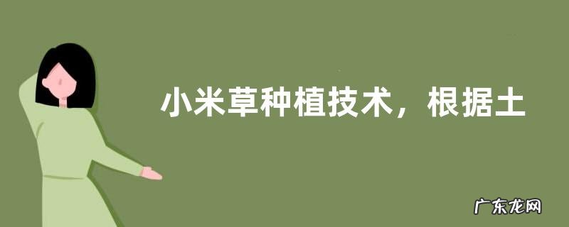 小米草种植技术,根据土壤的温度来调整播种时间