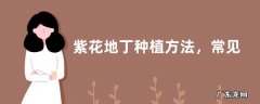 紫花地丁种植方法，常见的为播种繁殖