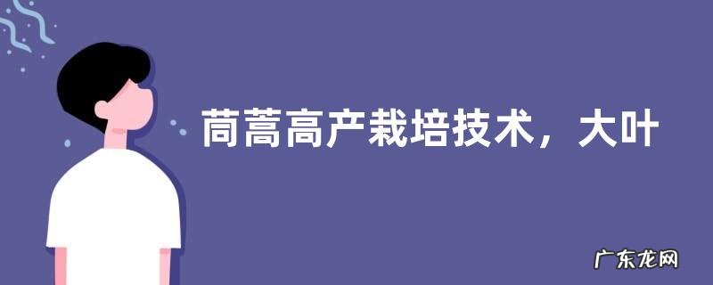 茼蒿高产栽培技术,大叶茼蒿具有产量大市场价格高等特点
