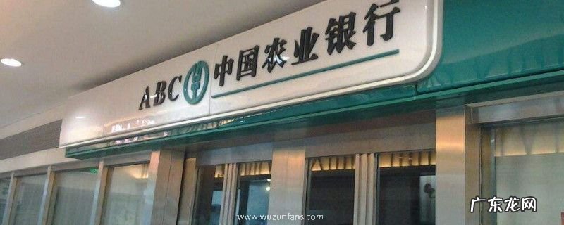 农业银行周日能办卡吗