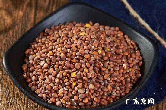 萝卜籽的功效与作用吃法