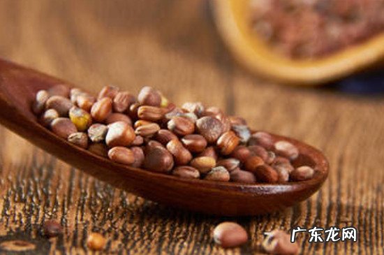 萝卜籽的功效与作用吃法