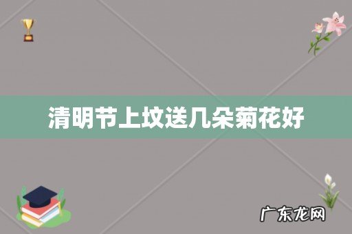 清明节上坟送几朵菊花好