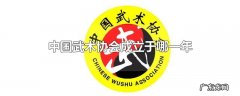 中国武术协会成立于哪一年