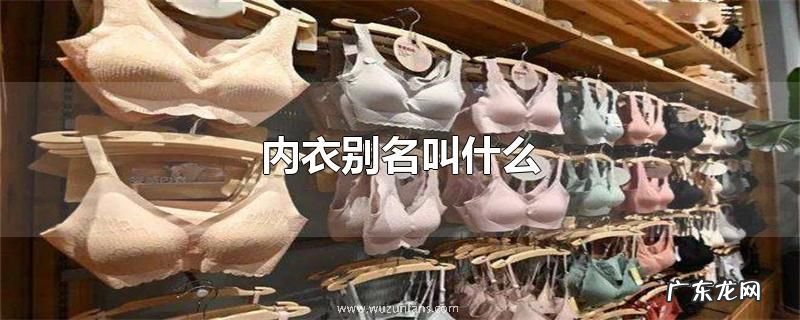 内衣别名叫什么