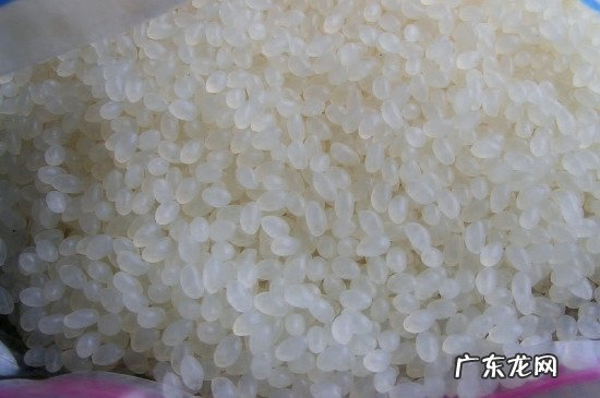 聚丙烯是口罩原材料吗