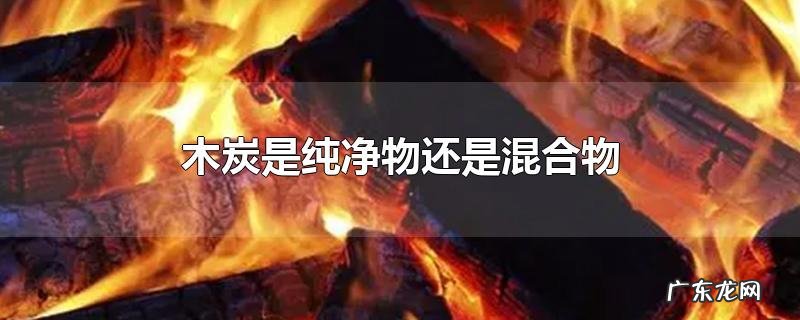 木炭是纯净物还是混合物