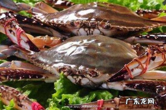 吃大枣的五大禁忌