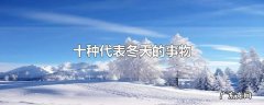 十种代表冬天的事物