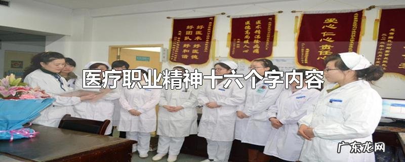 医疗职业精神十六个字内容