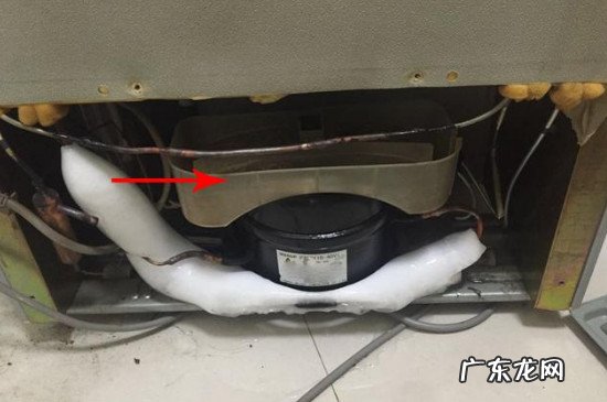 冰箱有臭味是什么原因