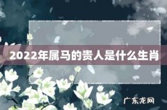 2022年属马的贵人是什么生肖