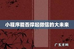 小程序能否撑起微信的大未来