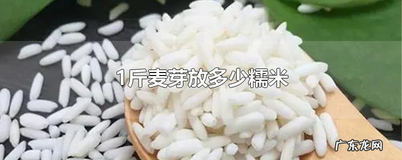 1斤麦芽放多少糯米