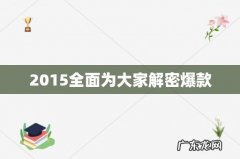 2015全面为大家解密爆款