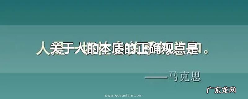 关于人的本质的正确观点是