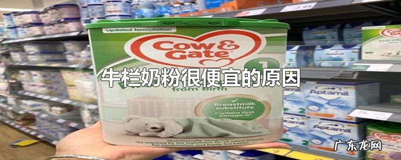 牛栏奶粉很便宜的原因