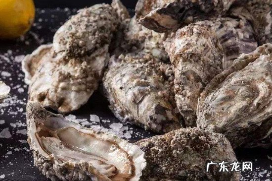 微波炉的20个小妙用