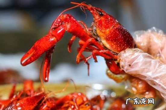 桑葚和小龙虾能一起吃吗