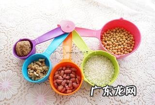 九阳五谷豆浆机价格多少