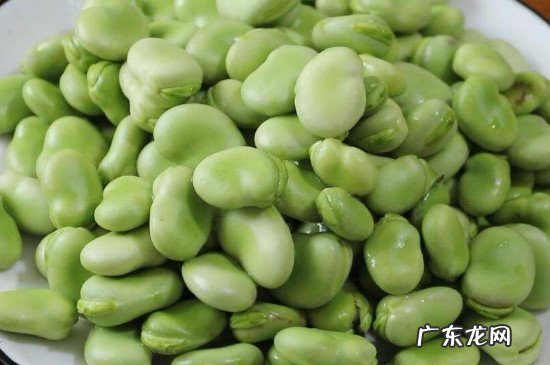 怎样保存蚕豆到冬天