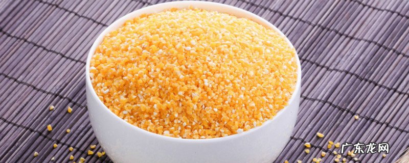 玉米渣可以天天吃吗