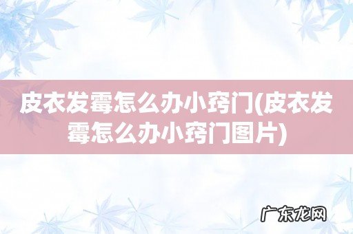 皮衣发霉怎么办小窍门图片 皮衣发霉怎么办小窍门