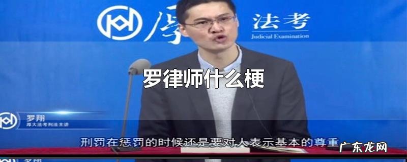 罗律师什么梗
