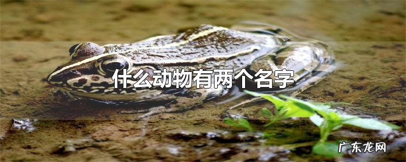 什么动物有两个名字