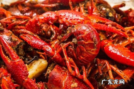 龙虾与芒果能一起吃吗