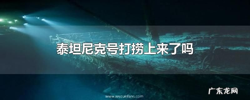泰坦尼克号打捞上来了吗