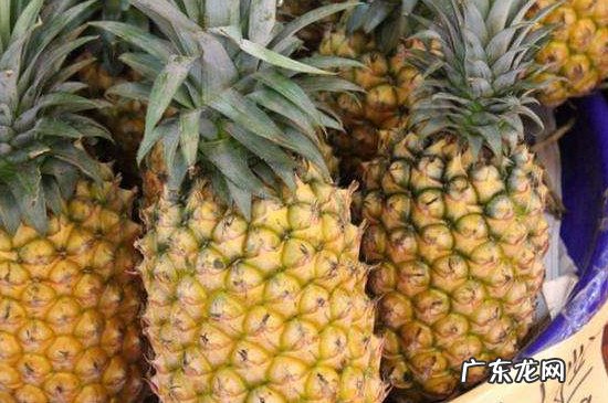 凤梨的功效与作用及禁忌