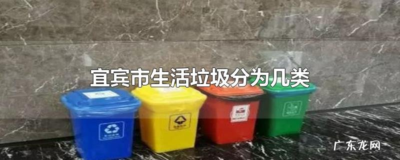 宜宾市生活垃圾分为几类