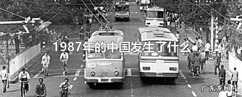 1987年的中国发生了什么