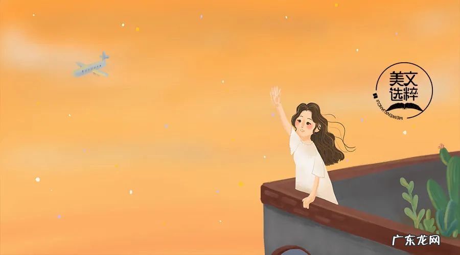 白百合的图片作文