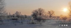 下雪天地面太滑怎么办