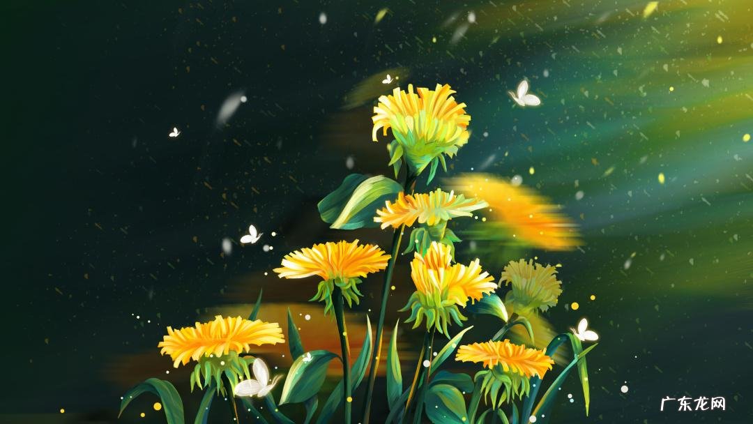 女人是家庭的风水 女人身上的风水有哪些