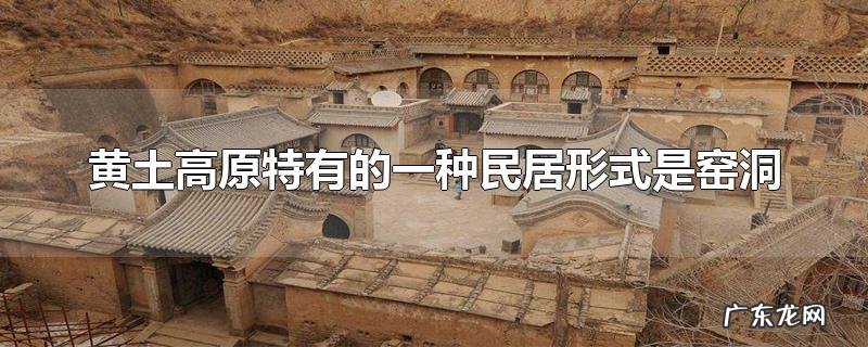 黄土高原特有的一种民居形式是窑洞