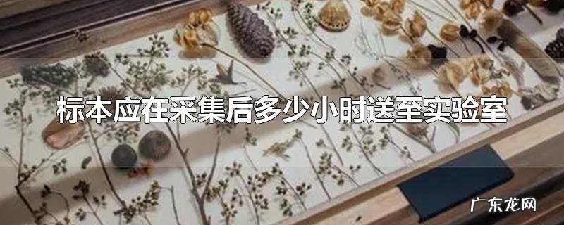 标本应在采集后多少小时送至实验室