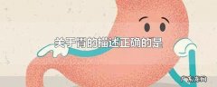关于胃的描述正确的是