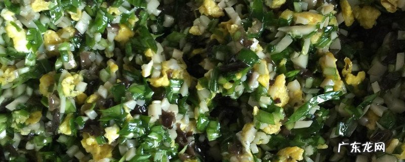 韭菜和木耳可以一起包饺子吗