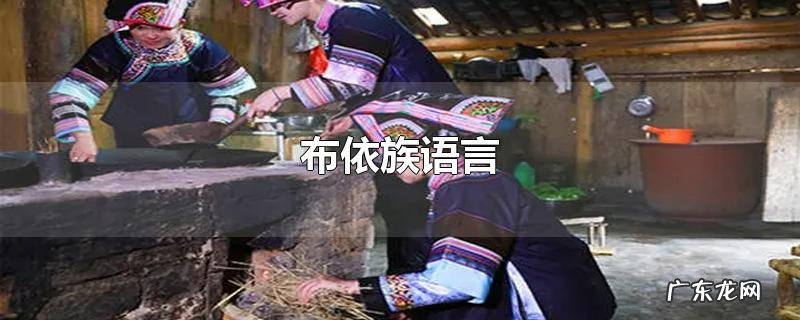 布依族语言