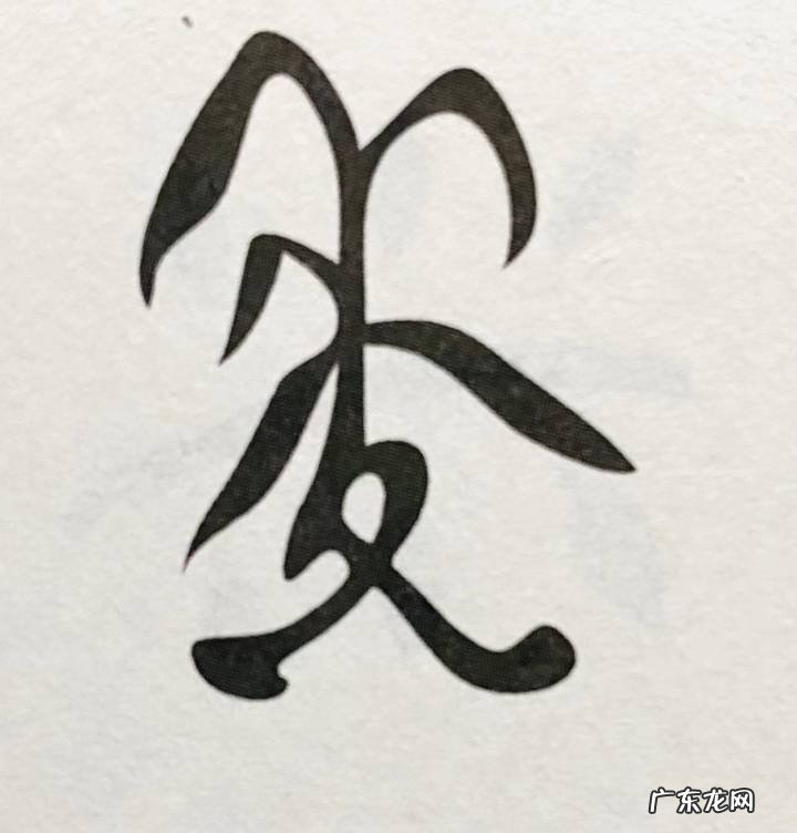 五谷中的菽指的是